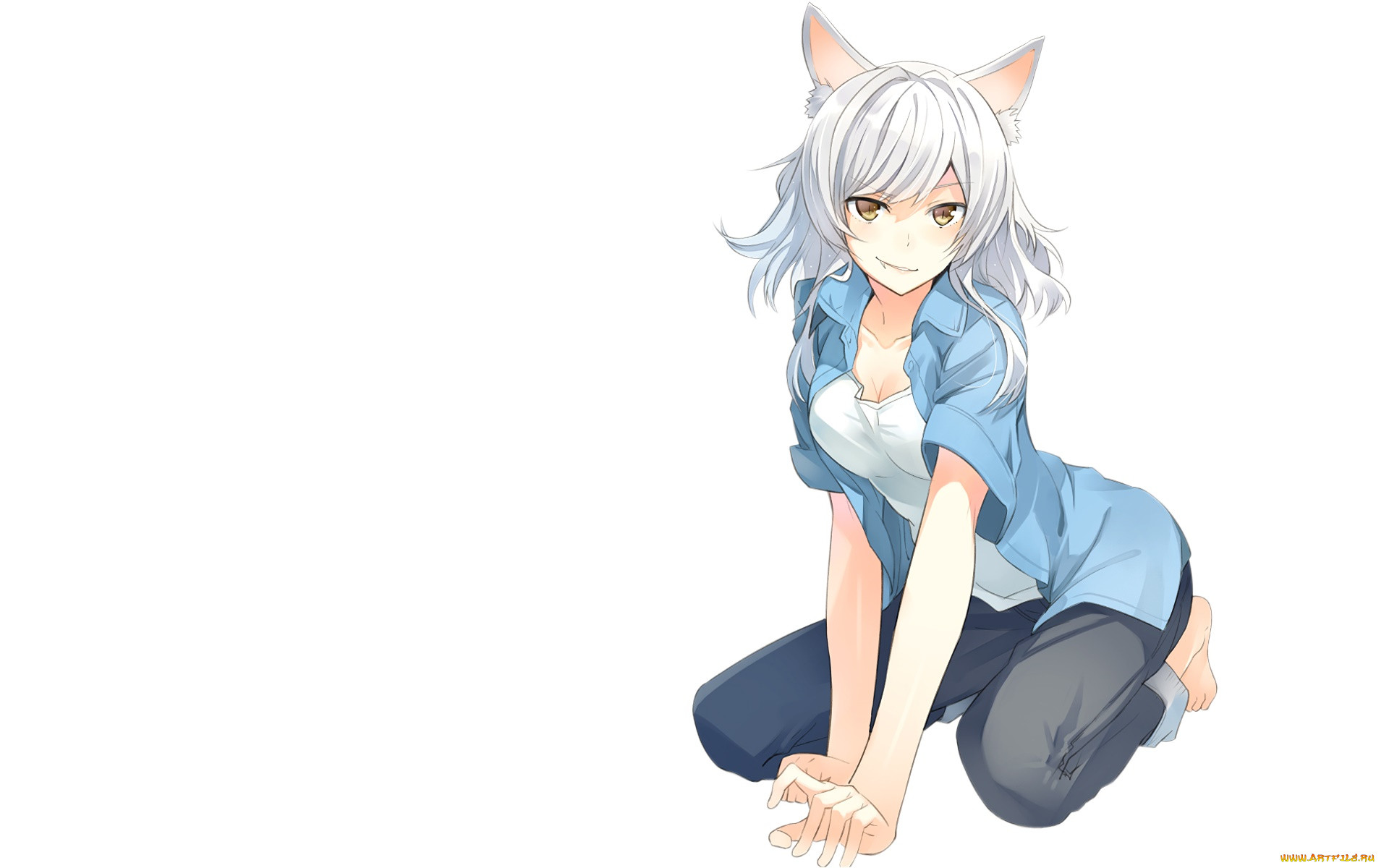 , bakemonogatari, , , 